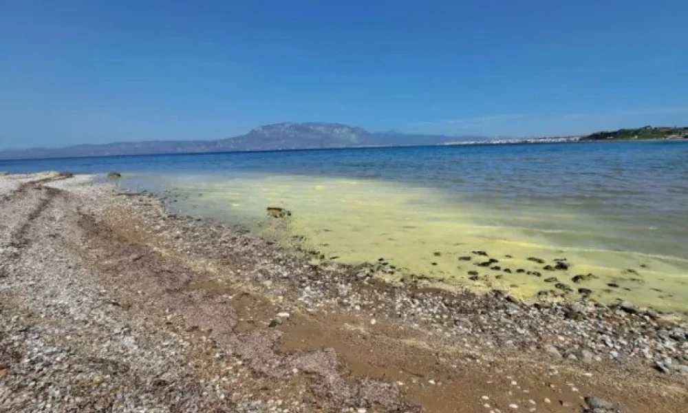 Το παράξενο αλλά σύνηθες φαινόμενο της Άνοιξης: Κιτρίνισε η θάλασσα στην Κόρινθο